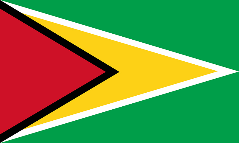 Flag-Guyana